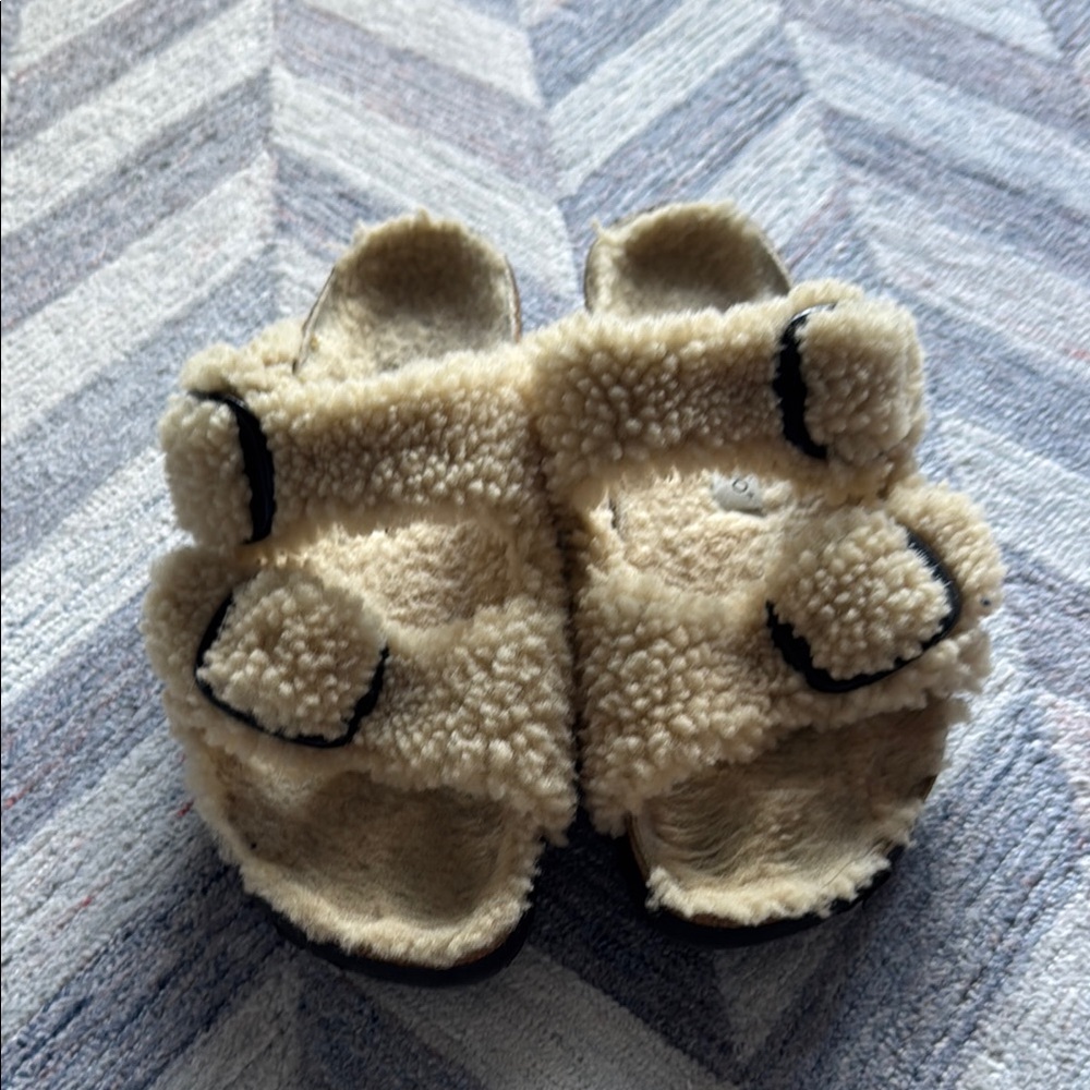 Arizona Big Buckle Shearling
Shearling - Teddy Eggshell